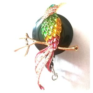 New hummingbird name badge